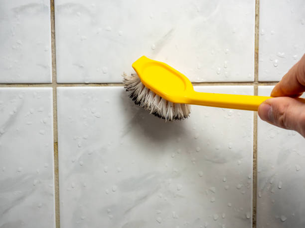 Best Mold Remediation  in Westlake Vlage, IL
