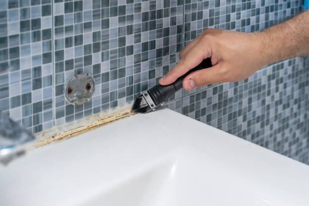 Best Black Mold Removal  in Westlake Vlage, IL